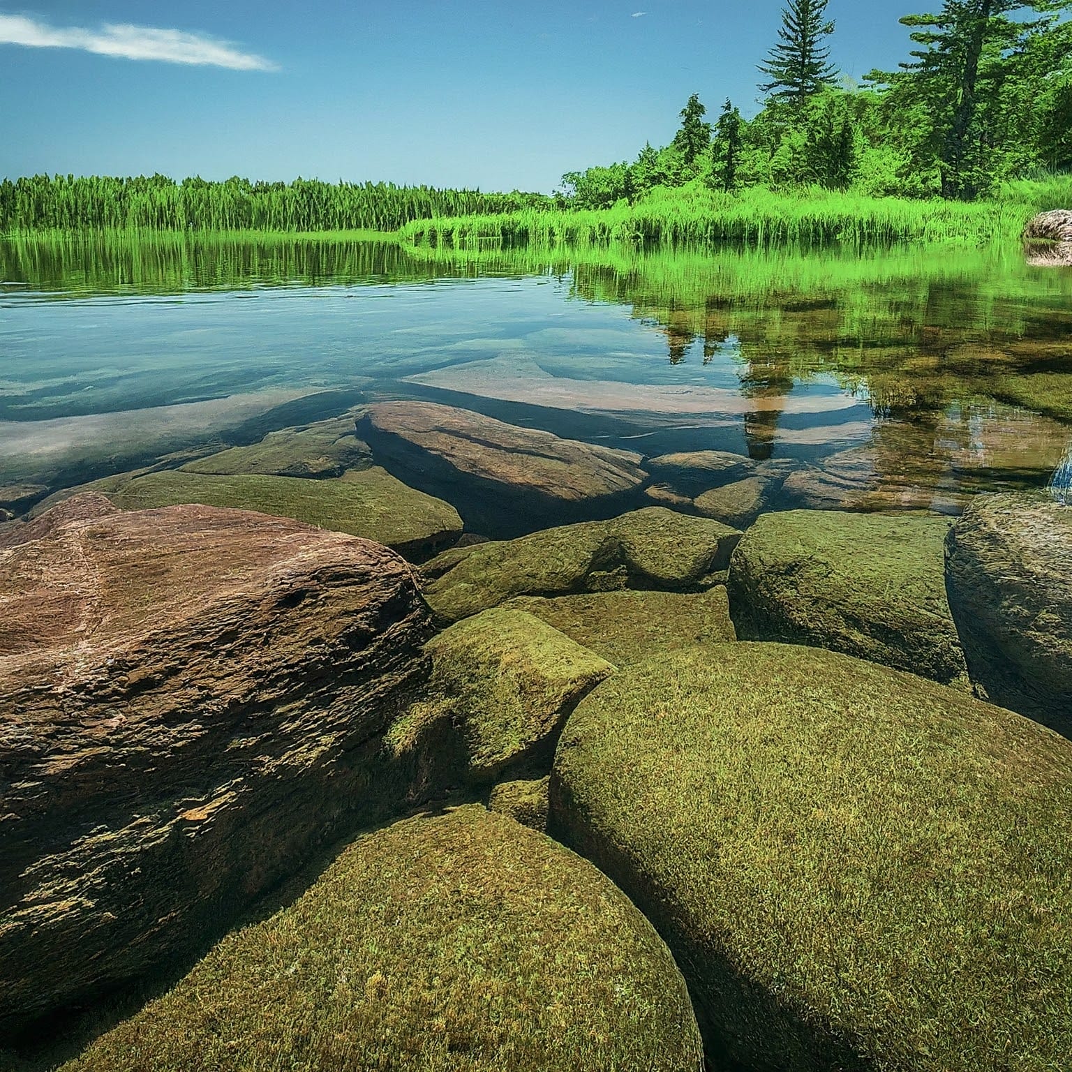 Lake Itasca