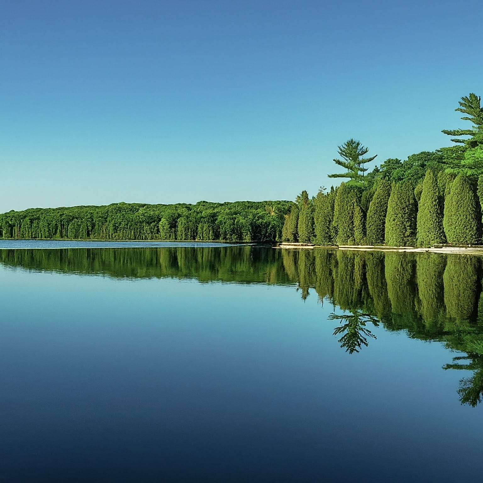 Thayer Lake