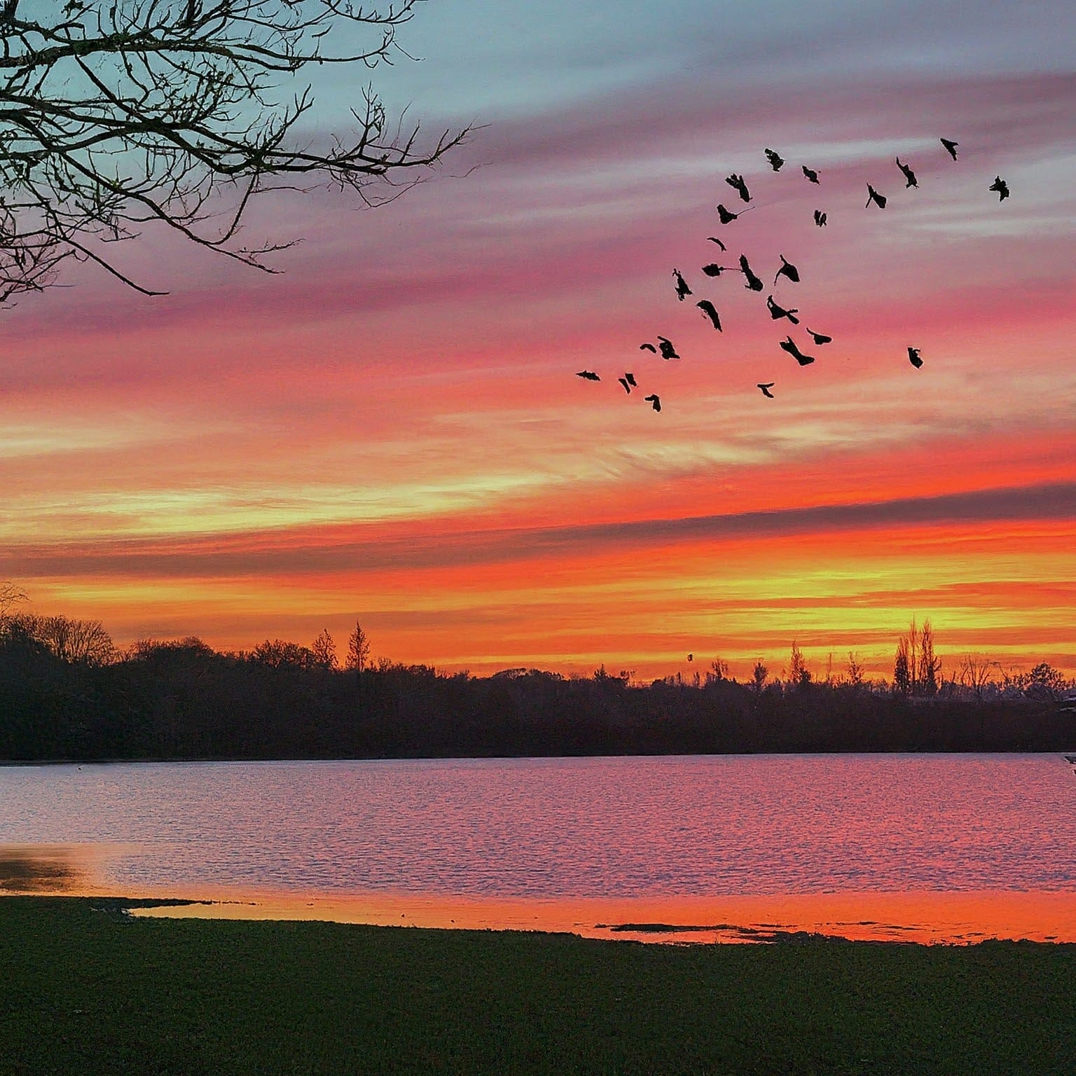 Walthamstow Reservoirs - Your #1 Source for Worldwide Lake Fun