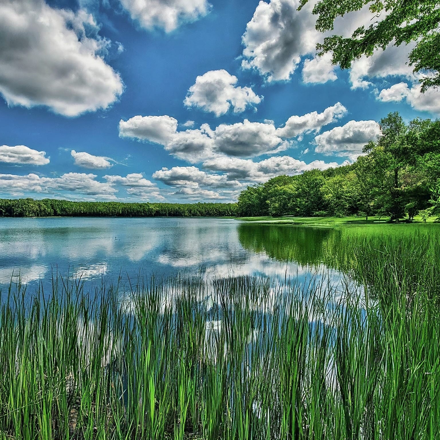 Paw Paw Lake